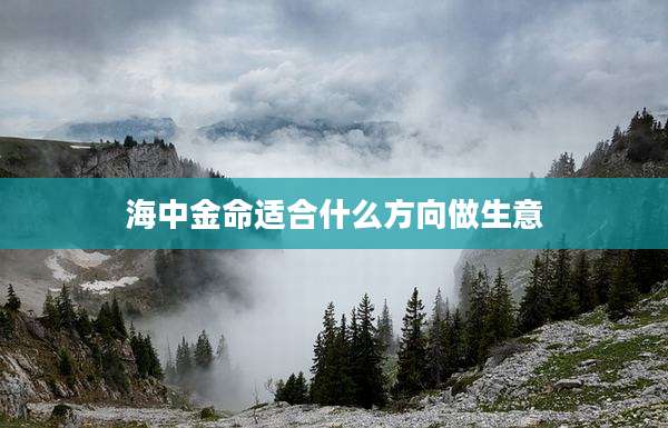 海中金命适合什么方向做生意