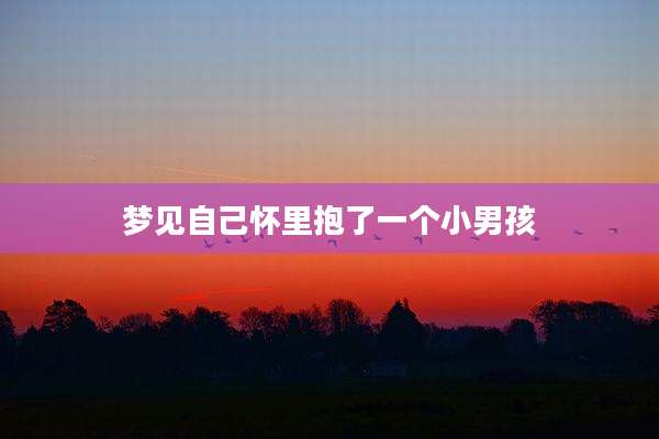 梦见自己怀里抱了一个小男孩