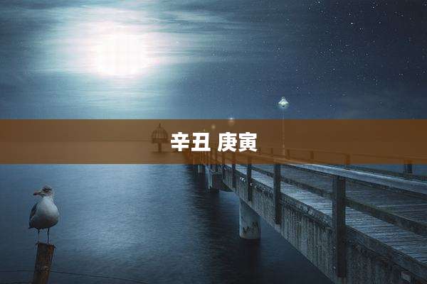 辛丑 庚寅