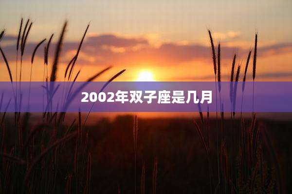 2002年双子座是几月