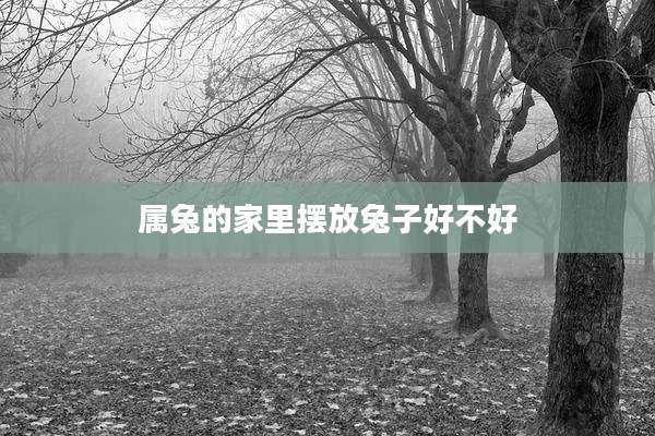 属兔的家里摆放兔子好不好