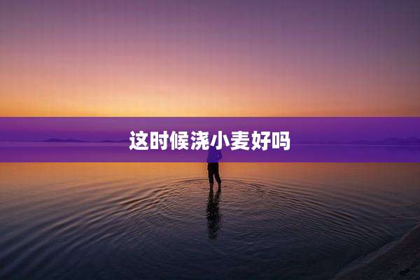 这时候浇小麦好吗