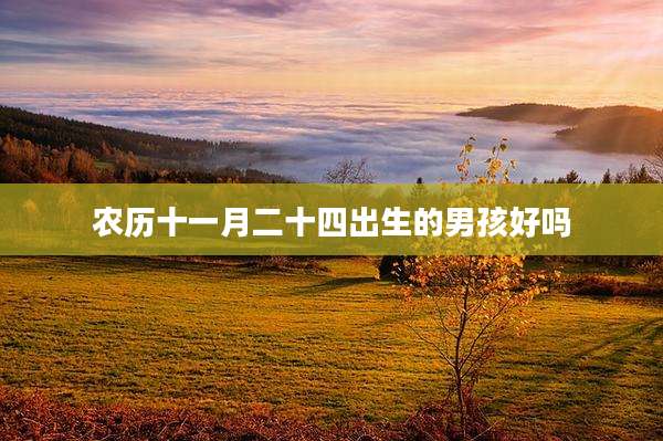 农历十一月二十四出生的男孩好吗