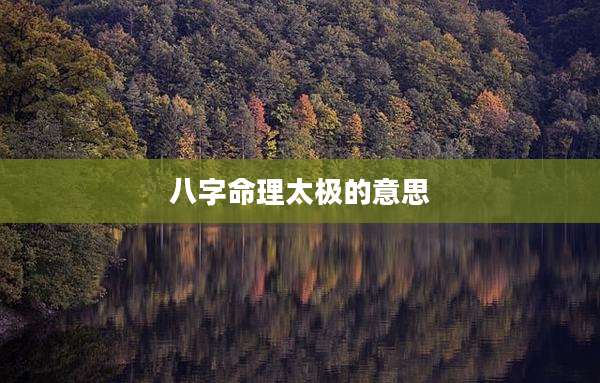 八字命理太极的意思