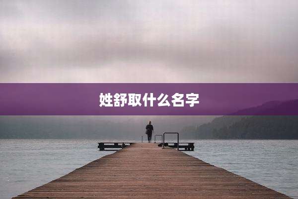 姓舒取什么名字