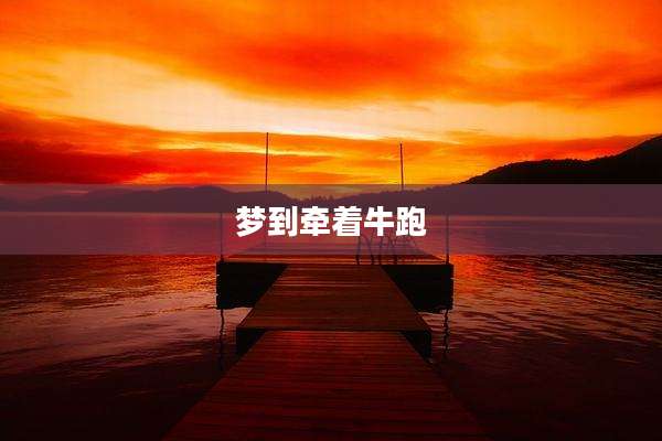 梦到牵着牛跑