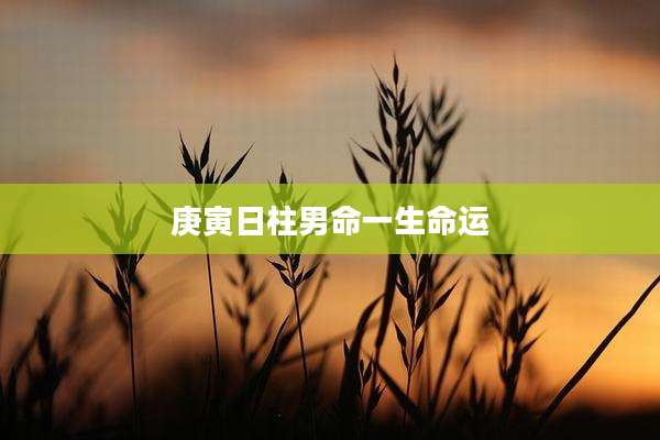 庚寅日柱男命一生命运
