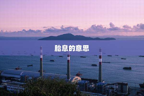 胎息的意思