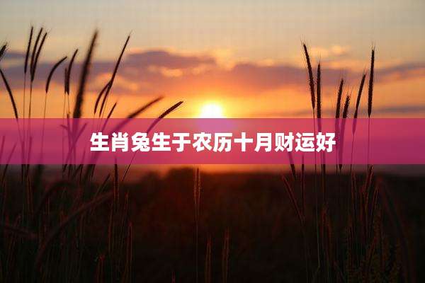 生肖兔生于农历十月财运好
