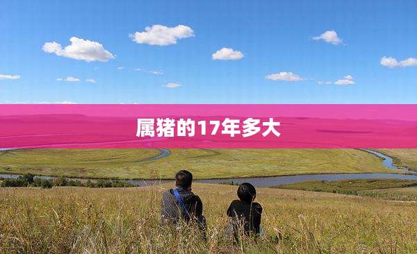 属猪的17年多大