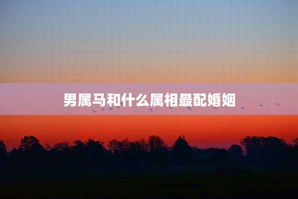 男属马和什么属相最配婚姻