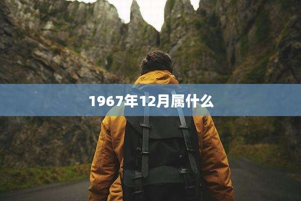 1967年12月属什么