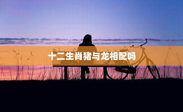 十二生肖猪与龙相配吗