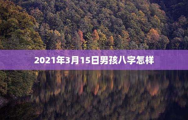 2021年3月15日男孩八字怎样