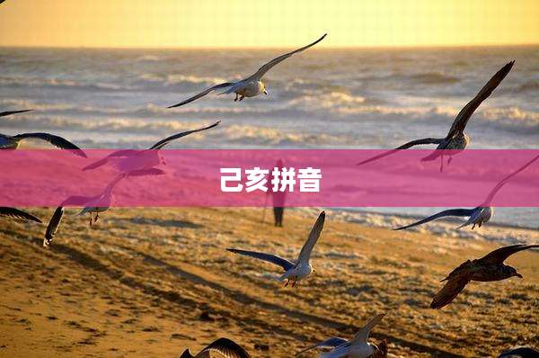己亥拼音