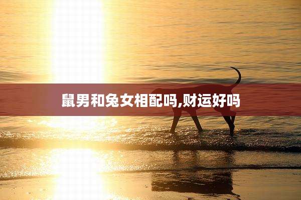 鼠男和兔女相配吗,财运好吗