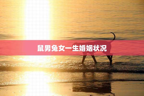 鼠男兔女一生婚姻状况