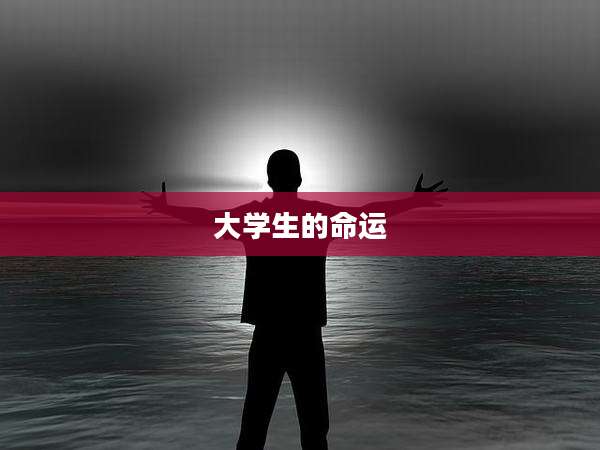 大学生的命运