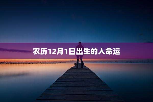 农历12月1日出生的人命运