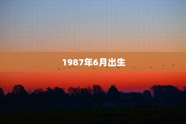 1987年6月出生