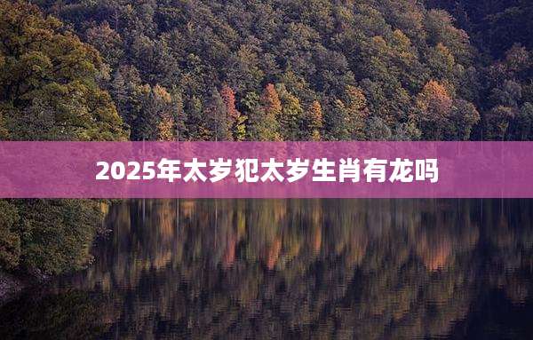 2025年太岁犯太岁生肖有龙吗