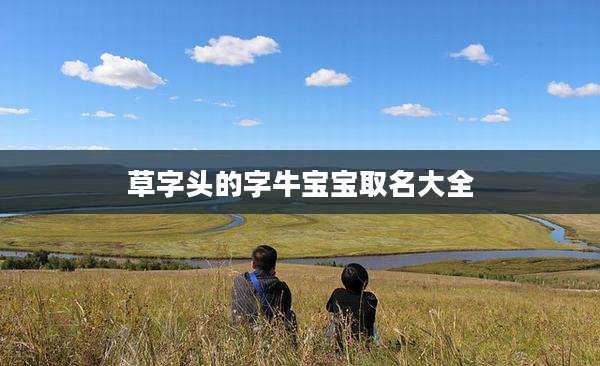 草字头的字牛宝宝取名大全