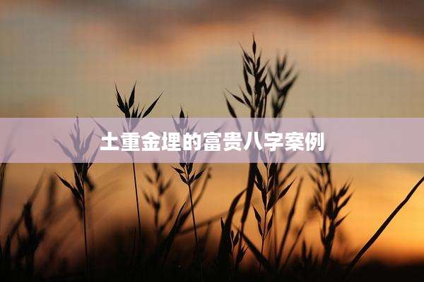 土重金埋的富贵八字案例
