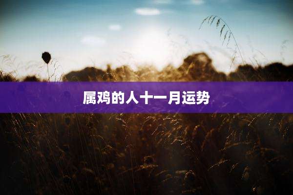 属鸡的人十一月运势