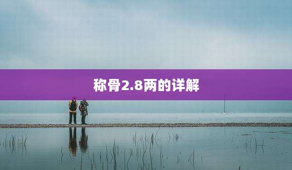 称骨2.8两的详解