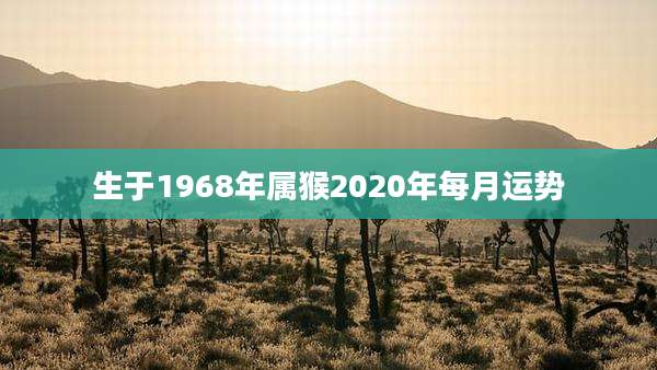 生于1968年属猴2020年每月运势