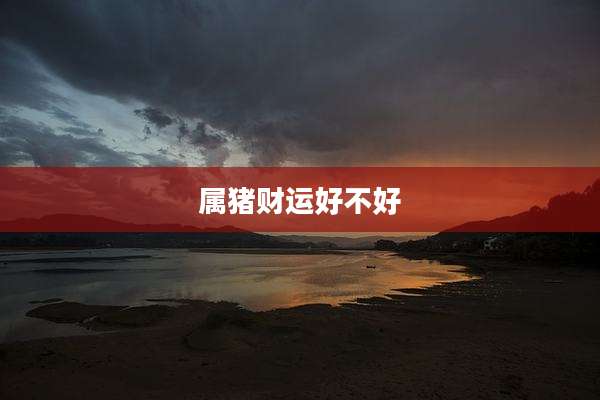 属猪财运好不好