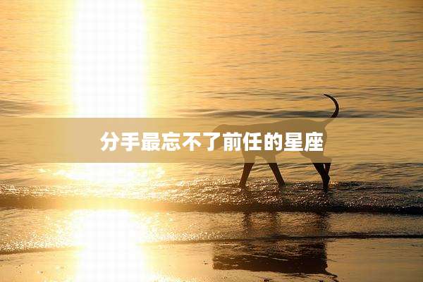 分手最忘不了前任的星座