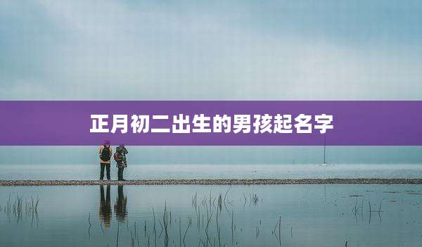 正月初二出生的男孩起名字