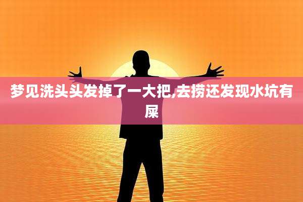 梦见洗头头发掉了一大把,去捞还发现水坑有屎