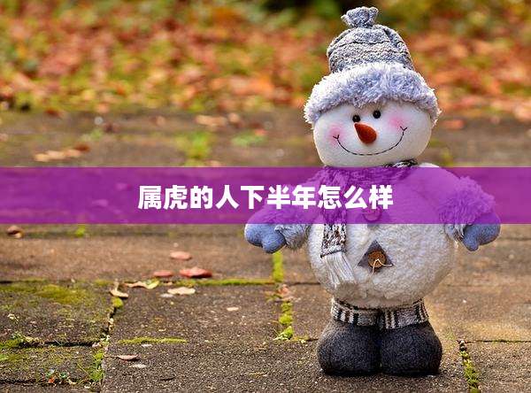 属虎的人下半年怎么样