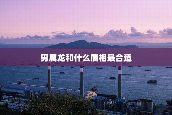 男属龙和什么属相最合适