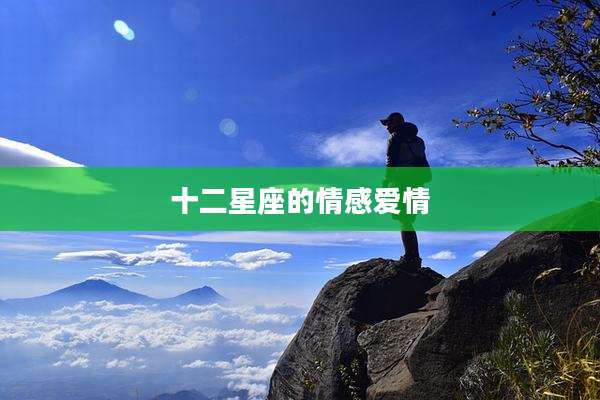 十二星座的情感爱情