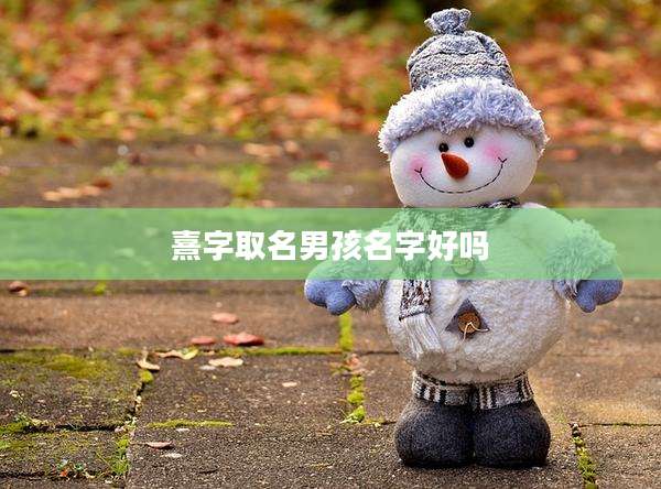 熹字取名男孩名字好吗