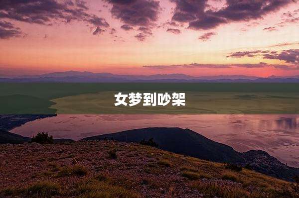 女梦到吵架