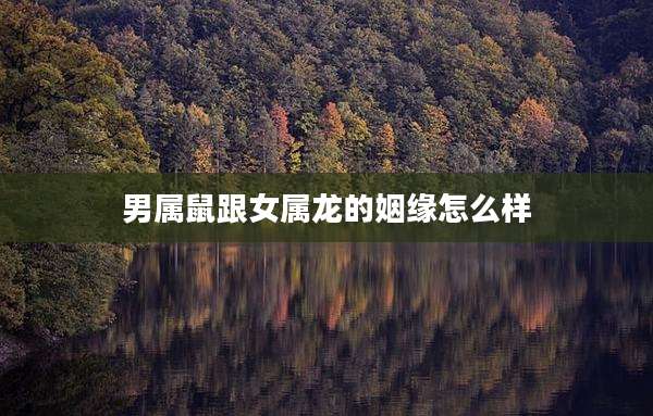 男属鼠跟女属龙的姻缘怎么样