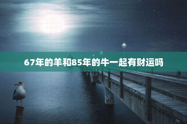 67年的羊和85年的牛一起有财运吗