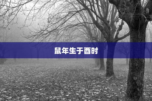 鼠年生于酉时