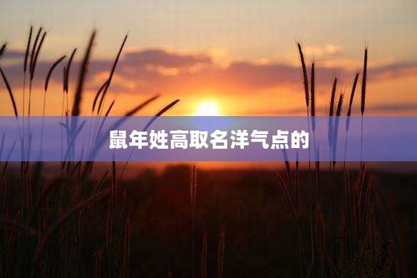 鼠年姓高取名洋气点的