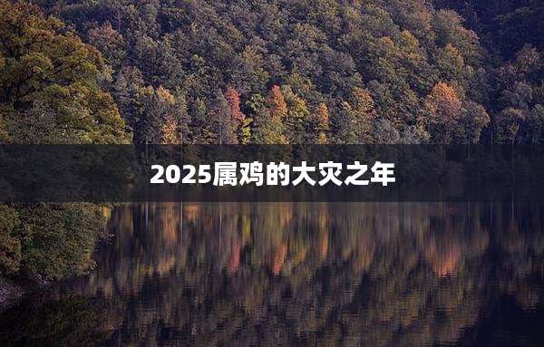 2025属鸡的大灾之年