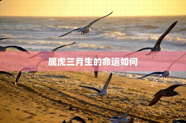 属虎三月生的命运如何