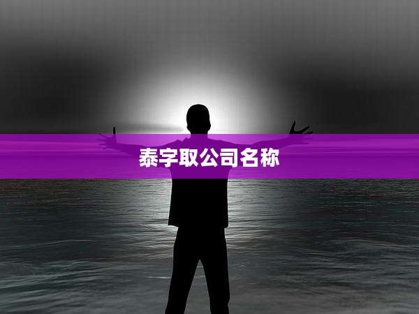 泰字取公司名称