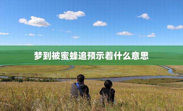 梦到被蜜蜂追预示着什么意思