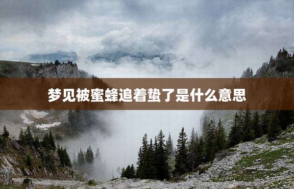 梦见被蜜蜂追着蛰了是什么意思