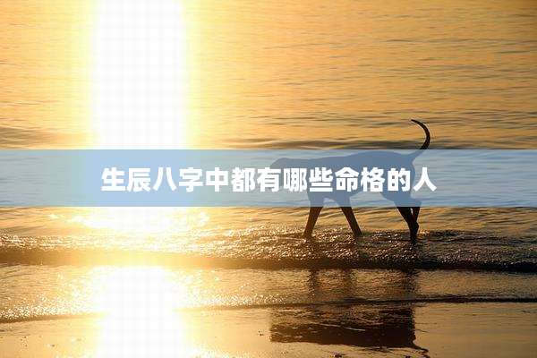 生辰八字中都有哪些命格的人