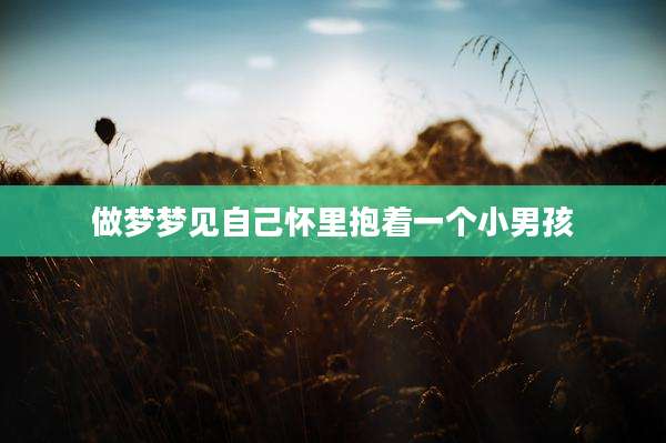 做梦梦见自己怀里抱着一个小男孩